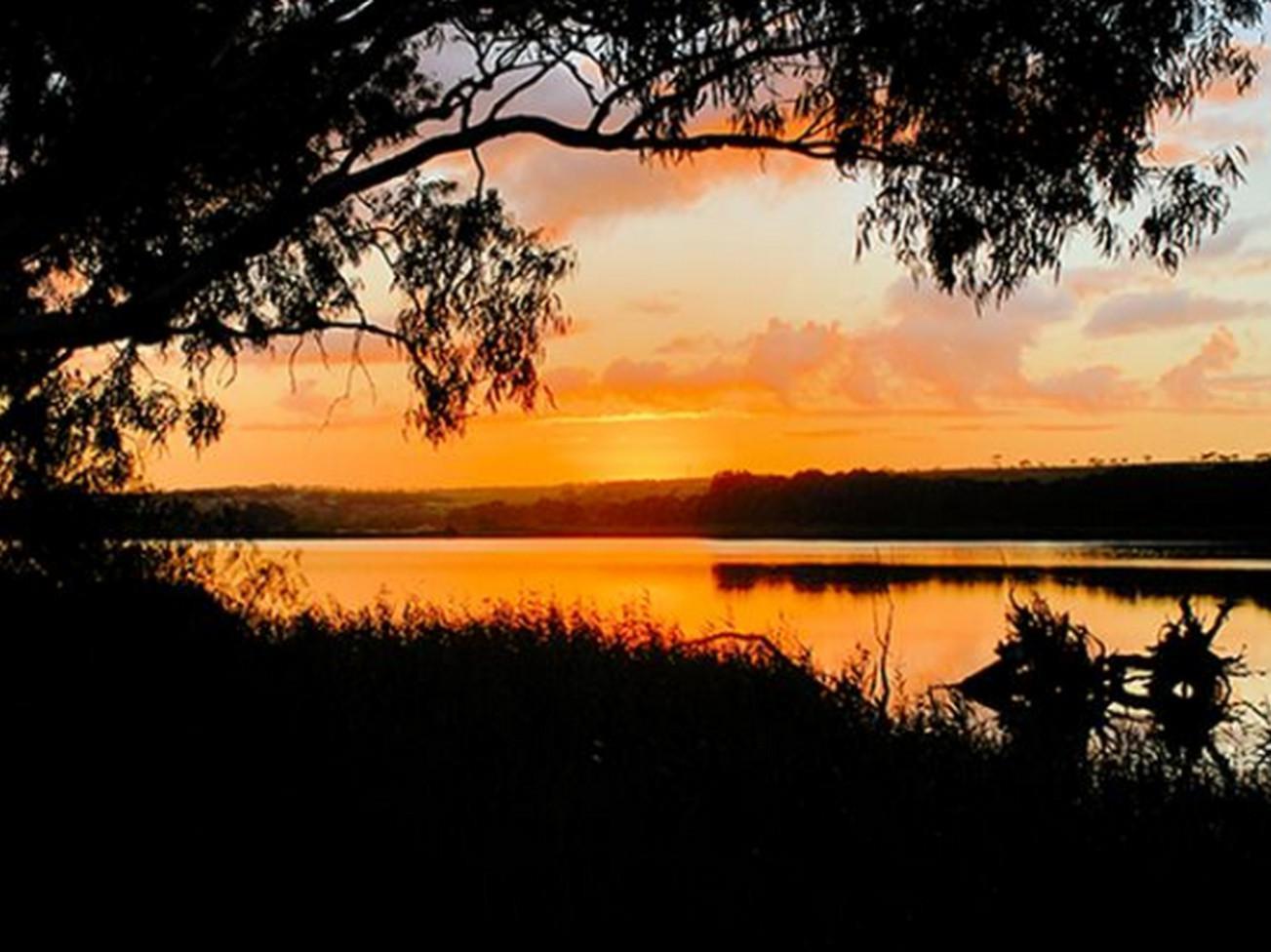 Riverview Rise Retreats Mannum Esterno foto