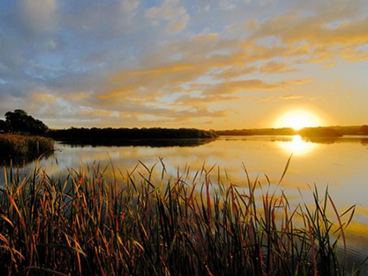 Riverview Rise Retreats Mannum Esterno foto