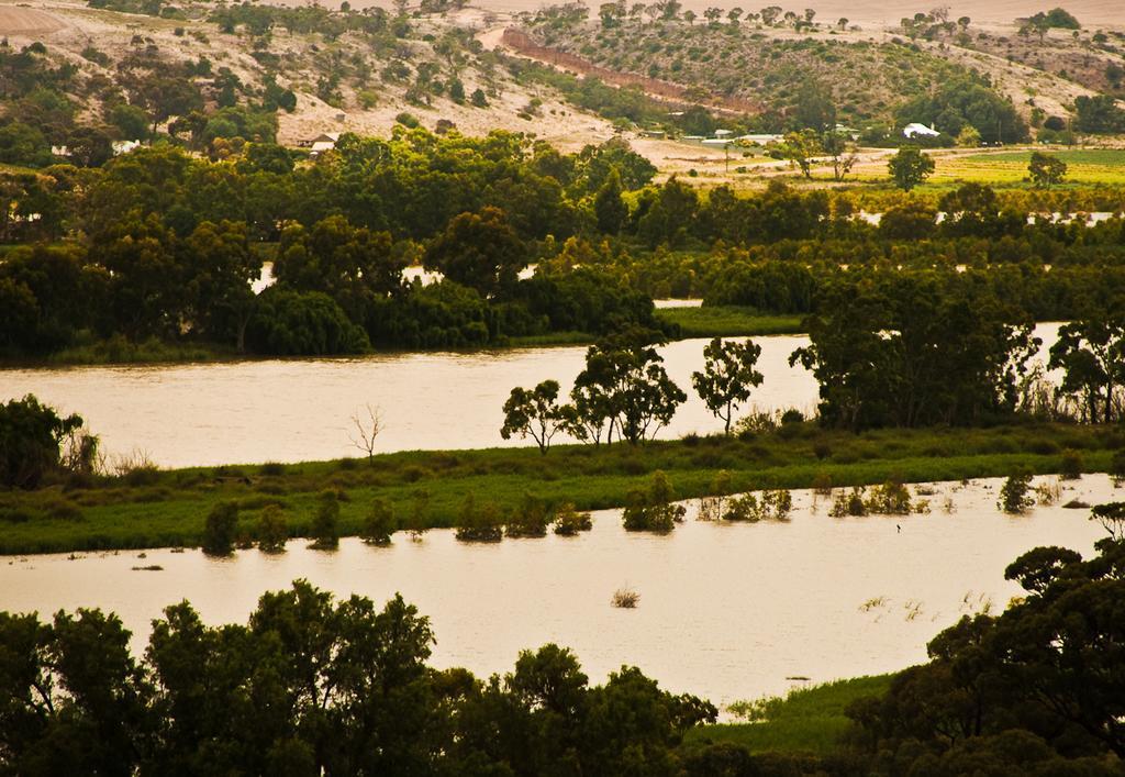 Riverview Rise Retreats Mannum Esterno foto