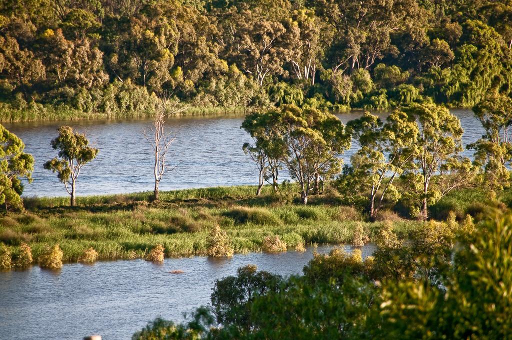 Riverview Rise Retreats Mannum Esterno foto
