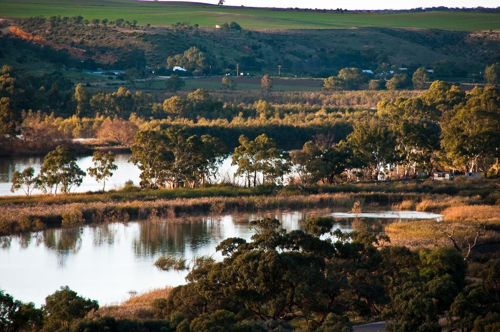Riverview Rise Retreats Mannum Esterno foto