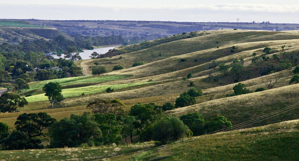 Riverview Rise Retreats Mannum Esterno foto