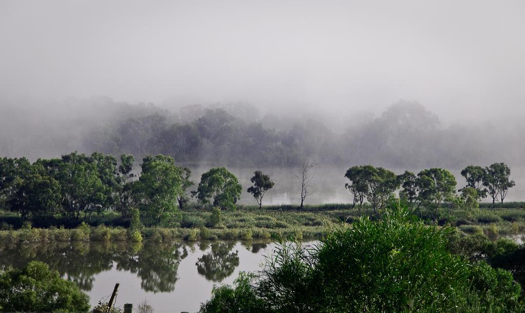 Riverview Rise Retreats Mannum Esterno foto