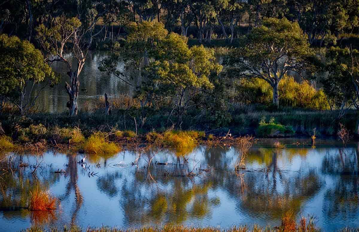 Riverview Rise Retreats Mannum Esterno foto