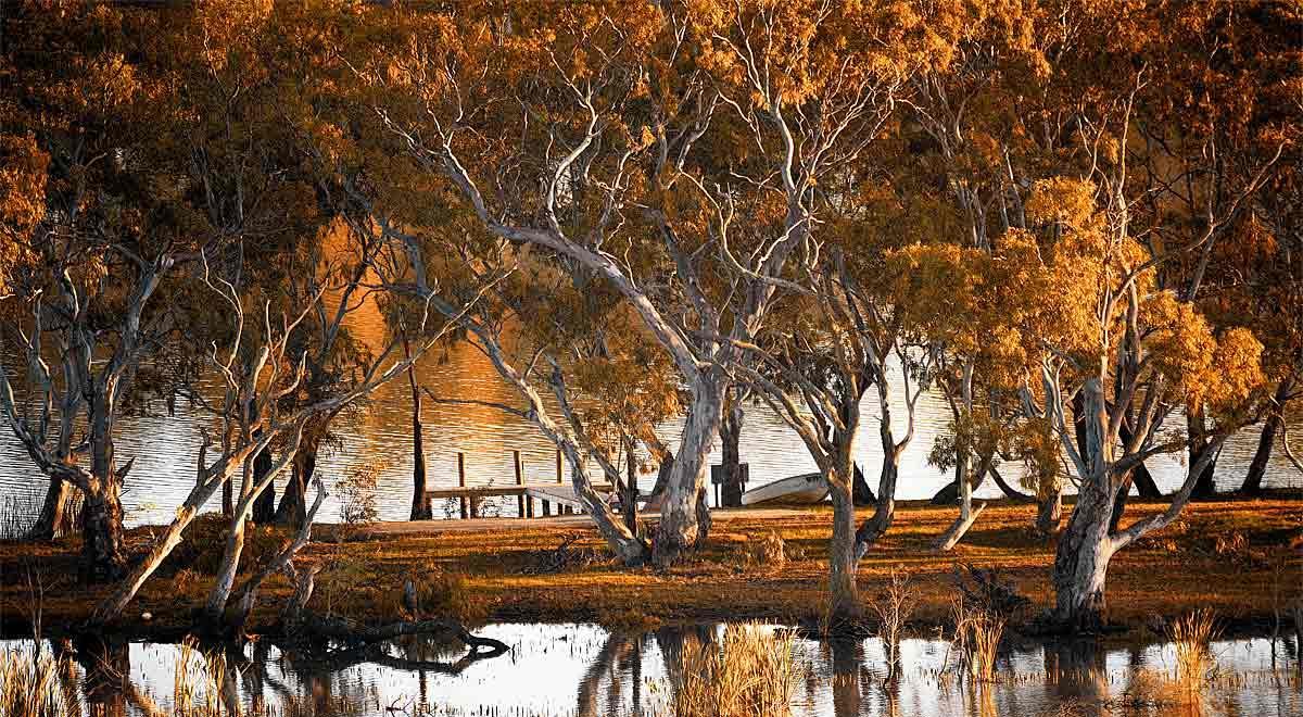 Riverview Rise Retreats Mannum Esterno foto