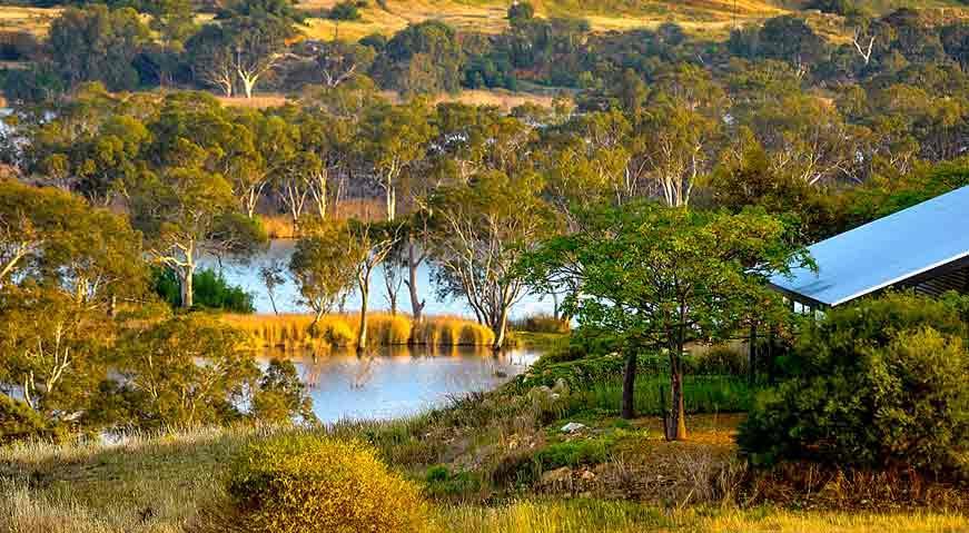 Riverview Rise Retreats Mannum Esterno foto