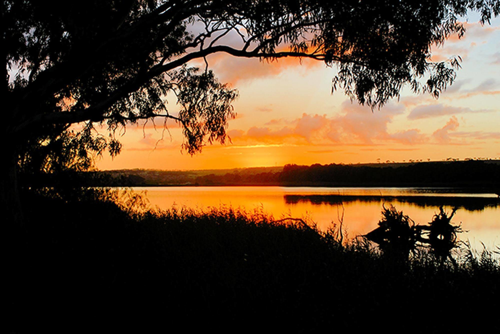 Riverview Rise Retreats Mannum Esterno foto